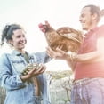 thumbnail image 2 of BestPet Large Chicken Coop Run Enclosure, 87" x 41" Outdoor Metal Pet Playpen with Waterproof Cover for Backyard Farm Use, Metal, Black, 2 of 7
