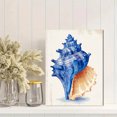 thumbnail image 2 of Blue Seashell Coastal Canvas Wall Art 15.75x11.81 Inches, 2 of 8