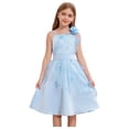 thumbnail image 1 of Jhaoyu Robe de Demoiselle d'Honneur pour Enfants, Satin Brodé, Concours, Bal, Fête Formelle, Tulle, Tutu, Robe de Bal, Bleu Pâle 12, 1 of 7