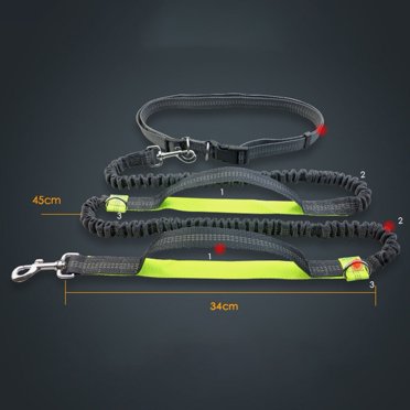 Laisse pour Chien Réfléchissante à Cordon Télescopique Double Élastique Solide et Robuste Multifonction pour Enclos Fournitures pour Animaux Laisse pour Chien