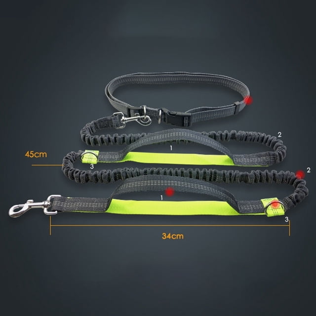 Dog Leash Reflective Drawstring Telescoping Double Elastic Strong and Sturdy Multifunction Run Pet Supplies Dog Leash