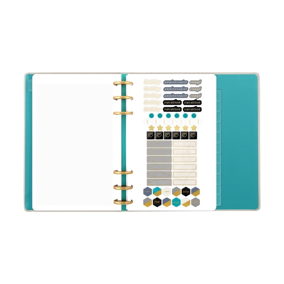 Mead WV Disc Binder & Fill, Biln