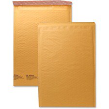 Sealed Air SEL10190CEX Mailer