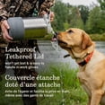 thumbnail image 2 of Coleman Pro 1-Gallon Water Jug, Stainless Steel Water Bottle, 2 of 9