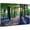 sunshine in forest, variant on Bedroom Modern Wall Decor Brooklyn Bridge Cityscape Skyline Canvas Prints for Office NYC Downtown Sunset Pictures Skyscraper Panoramic Artwork Living Room Home Decor 12x16”