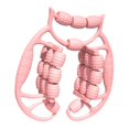 thumbnail image 3 of Milaget Rouleau de Massage à Main pour Jambes 24 Roues Outil de Massage Équipement pour Taille Rose, 3 of 9