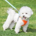 thumbnail image 2 of No Pull Dog Harness No Choke Reflective Pet Vest Adjustable Breathable Mesh Harnesses for Small Dogs Cats Walking, 2 of 7