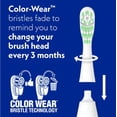 thumbnail image 2 of Spinbrush PRO WHITEN Replacement Brush Heads Soft, 2 of 7