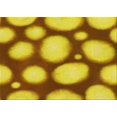 thumbnail image 1 of Ahgly Tapis Rectangulaire Lavable en Machine Intérieur Transitionnel Jaune, 5 Pieds x 7 Pieds, 1 of 7