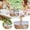 D, variant on Hearth & Gear Wicker Storage With Gingham And Lace Trim For Home Picnics And Giving Design With Crochet Baking Storage Food Warming Tray Divided Fridge Drawer Cat Food Container 20 Lb Prepping Can