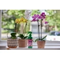 thumbnail image 4 of Miracle-Gro Orchid Plant Food Mist 236mL, 4 of 6