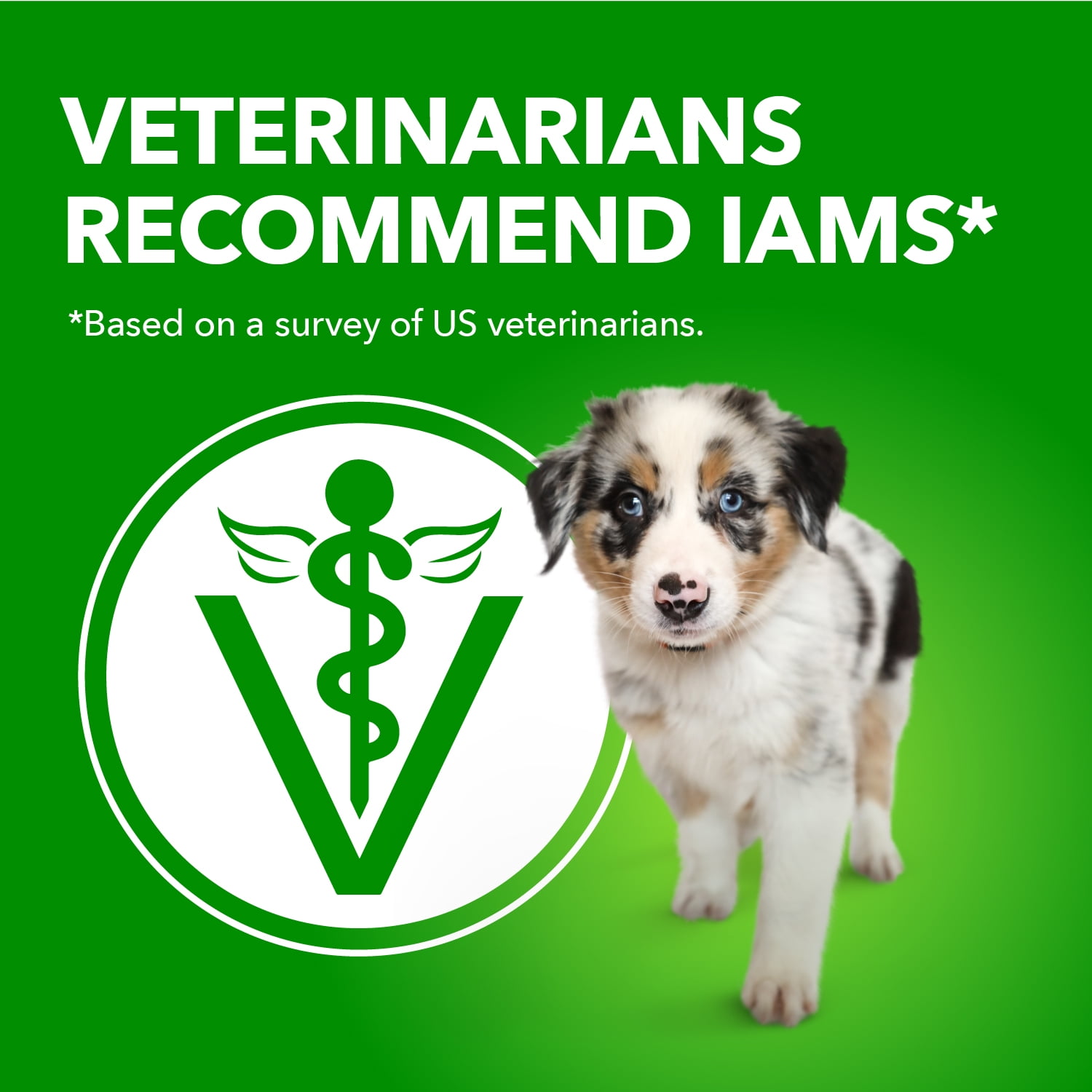 Iams Proactive Health Nourriture Sèche pour Chiots Recette au Poulet & Grains Entiers 6.8kg