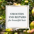 thumbnail image 5 of Herbal Essences Repair + Strength Argan Oil Shampoo, Paraben-Free, 600 ml, 5 of 5