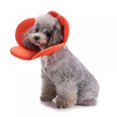 thumbnail image 4 of Collier Conique de Récupération pour Animaux, Collier Électronique pour Chats et Chiens, Fleur, Éponge en Dacron Souple, Collier Protecteur, 4 of 8