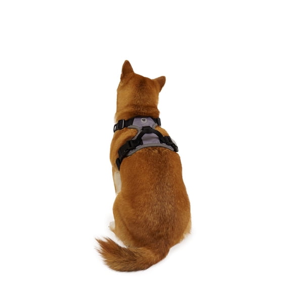One Paw, Dog Harness with Bonded Mesh and Reflective Stitching, Multiple Sizes and Colours