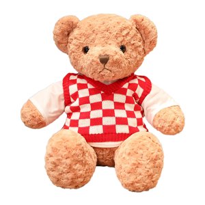 Nounours en peluche ours en peluche peluche jouet porter ours en pull jouet