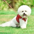 thumbnail image 5 of LSLJS Pet Harness and Leash Set, All-in-one Reflective Dog Harness No Pull with Adjustable Buckles for Puppies, Small, Medium, Large, and Extra-Large Dogs, 5 of 5