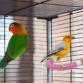thumbnail image 2 of Yhmxh Birds Standing Rod Cage Claw Sharpening Rod Home and Kitchen kitchen Accessories kitchen Essentials, 2 of 5