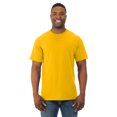 thumbnail image 1 of Fruit Of The Loom T-Shirt à Col Rond à Manches Courtes en Coton HD pour Hommes, P, Or, 1 of 3