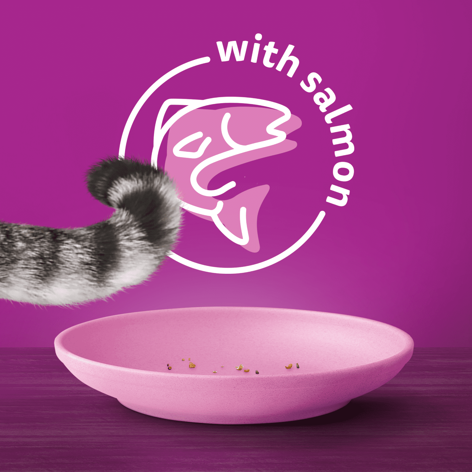 WHISKAS Nourriture Sèche pour Chats Adultes Sélections de Fruits de Mer, Saveur Naturelle de Saumon & de Crevettes 9.1kg