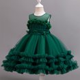 thumbnail image 1 of LOVZFMLL Girls' Summer Short Sleeve Ruffled Lace Round-Neck Embroidery Mesh Princess Bow Skirt, 1 of 8