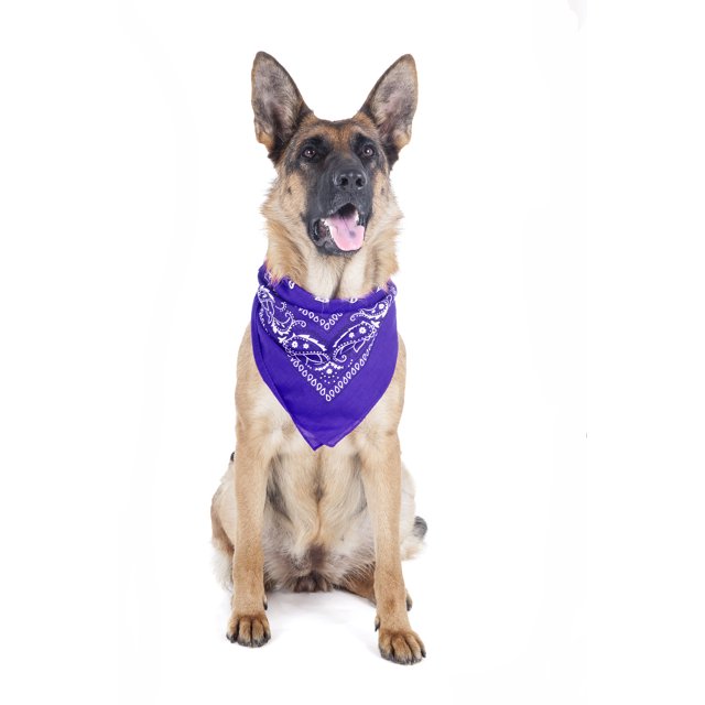 2 Pack Paisley Polyester Pets Dogs Bandana Triangle Shape - Oversized (Purple)