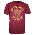 thumbnail image 1 of Harry Potter Gryffindor Quidditch Adult T-Shirt (Large), 1 of 1
