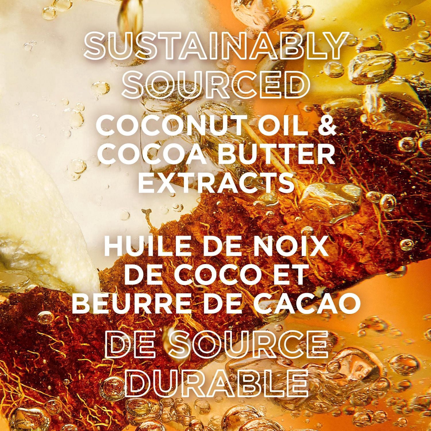 Garnier Whole Blends Huile de Coco & Beurre Cacao Shampooing Lissant pour Cheveux Frisottés