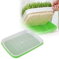 thumbnail image 3 of Sprout Germination Tray Hydroponic Growing For Wheatgrass Soilless Vegetable Planter - For Patio, 3 of 7