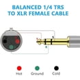 thumbnail image 2 of 6.35mm To XLR Audio Cord Professional Audio Adapter Cable for Speaker System Mic, 2 of 9