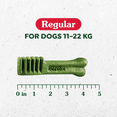 thumbnail image 2 of Greenies Original REGULAR Oral Care Natural Dental Adult Dog Treats, 2 of 13