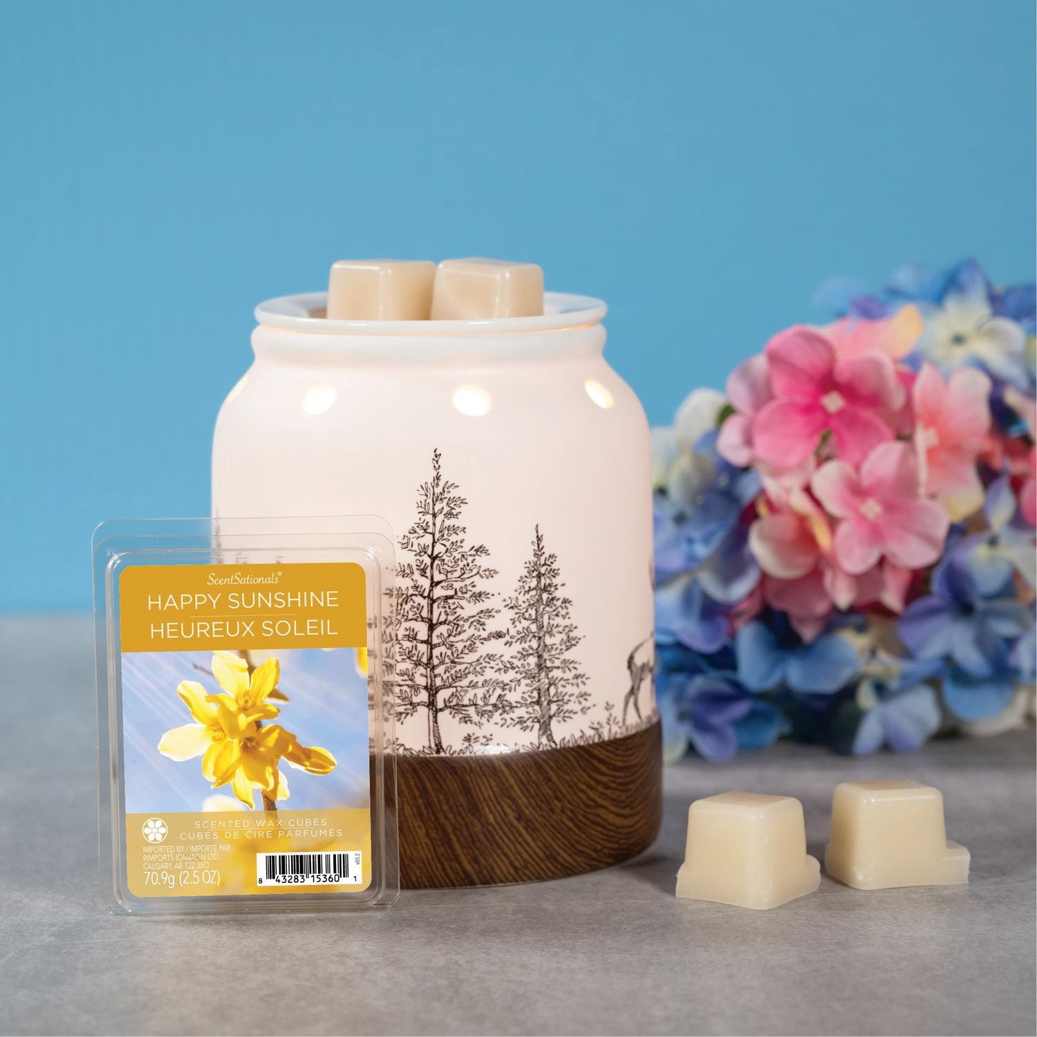 ScentSationals, Cubes de cire parfumés, Heureux soleil