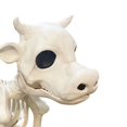 thumbnail image 3 of MesaSe Halloween Decorative Prop for Haunted House Party(Cow), 3 of 7