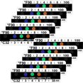 thumbnail image 1 of 40 Pieces Temperature Strips Testing Adhesive Temperature Strips 90 to 100 Fahrenheit Degree Temperature Sticker Sticky, 1 of 8
