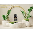 thumbnail image 2 of KRIAA Goodness Lemongrass Essential Oil 10ml with Dropper, 2 of 6