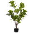 thumbnail image 1 of 44" Alocasia Zebrina Potted Plant, 1 of 1