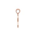 thumbnail image 2 of 14K Rose Pink Gold Polished Star Of David Pendant Necklace with Chain, 2 of 4