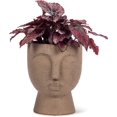 thumbnail image 2 of Brown Face Pedestal Planter, 2 of 4