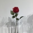 thumbnail image 2 of Red Rose Bud, 2 of 3