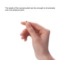 thumbnail image 4 of 600Pcs Disposable Ear Press Seeds Acupuncture Vaccaria Plaster Bean Ears Stickers Acupoint Massage Ear Massage Sticker, 4 of 6