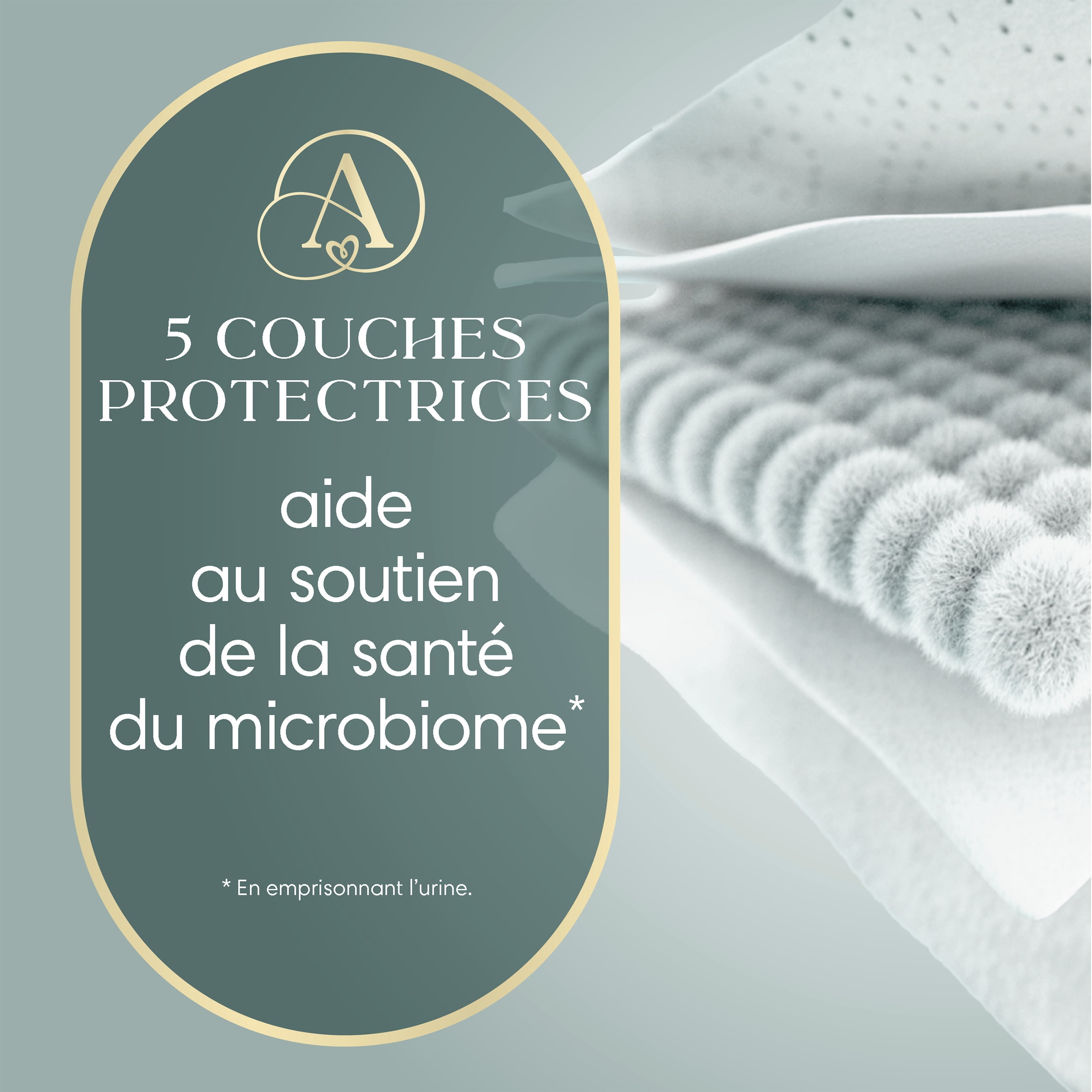 NOUVEAU Pampers AMORE, taille 2 (4,5 à 10 kg [10 à 22 lb]), notre meilleure couche, 186 unités