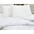 thumbnail image 3 of Millano SilverClear 100% Cotton Pillow (Set of 2), 3 of 3