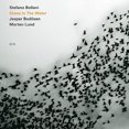 thumbnail image 3 of Stefano Bollani - Stone In The Water, 3 of 3