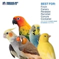 thumbnail image 2 of Prevue Paradise Swing Bird toy, 2 of 7