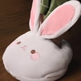 thumbnail image 3 of USB - Portable Cartoon Heated Foot Warmers for Men and Women - Detachable Design, 3 of 3