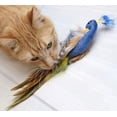thumbnail image 2 of Pet Zone Pretty Peacock Catnip Filled Plush Cat Toy, 2 of 3