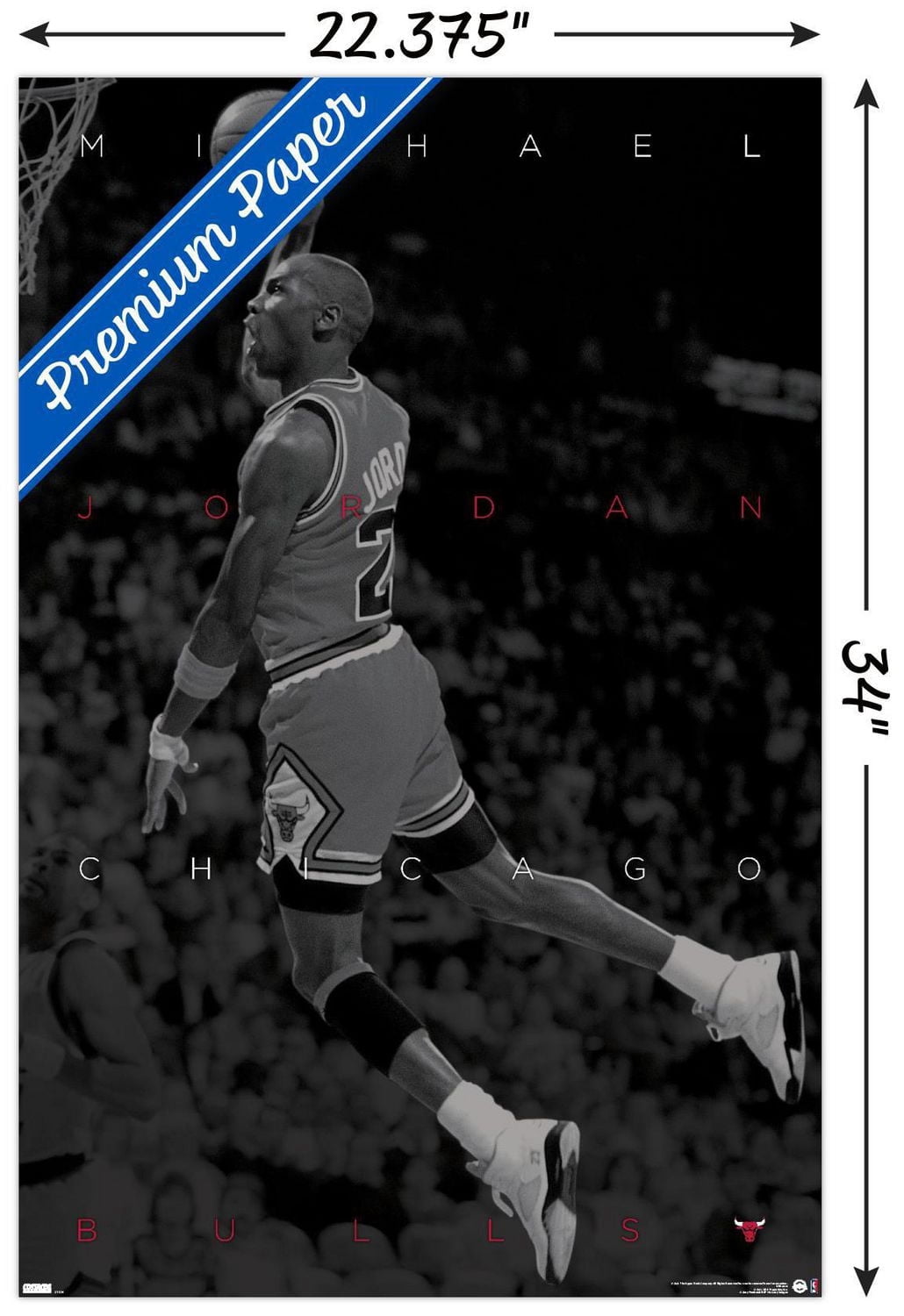 Michael Jordan - Black and White Wall Poster