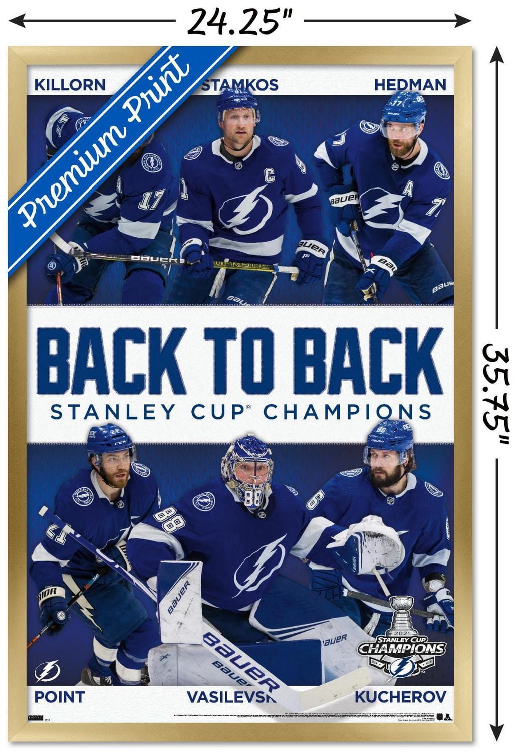 Lightning de Tampa Bay la LNH