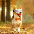 thumbnail image 4 of Stylish Pet Sunglasses Protective Goggles With Adjustable Head Strap For Shielding During Outdoor Adventures And Safe Driving Experiences, 4 of 5