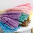 thumbnail image 3 of Artificial Dried Pampas Grass Realistic Vibrant Color Easy Maintenance Wedding Centerpiece Pampas Grass Fake Plant Decor, 3 of 7